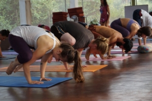 Yoga teacher training in Dharamsala