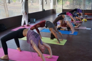 Urva Dhanurasana at Mahi Yoga Centre