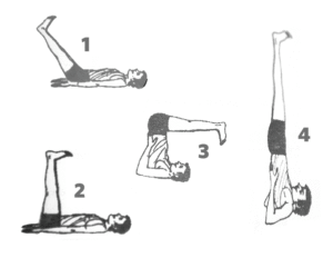 Steps of Sarvangasana at Mahi Yoga Centre