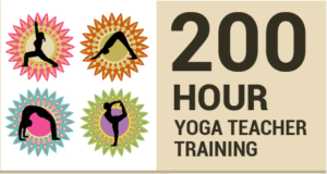 200 hours yoga teacher training certification at Mahi Yoga