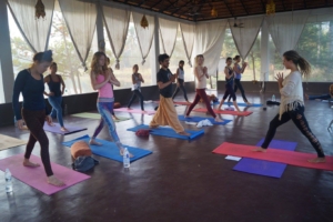 Yoga Teacher Training in Rishikhesh at Mahi Yoga Centre