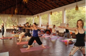 Yoga teacher training in Dharamsala at Mahi Yoga