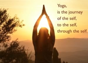 Yoga teacher training in Rishikesh from Mahi Yoga