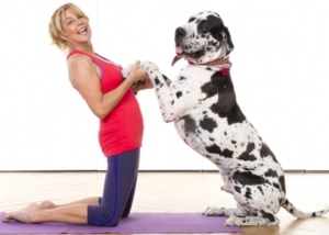 Issues with Doga at Mahi Yoga