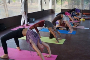 200 Hours yoga teacher training courses in India at Mahi Yoga