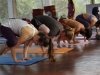 Yoga_Teacher_ Training_India (12)