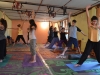 yoga-dharamshala28