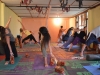 yoga-dharamshala49