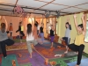 yoga-dharamshala52