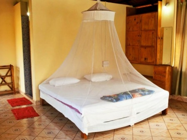 Mahi Yoga Accommodation in Goa, Arambol beach