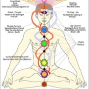 Masculine and Feminine System