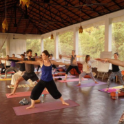 Yoga teacher training in Dharamsala